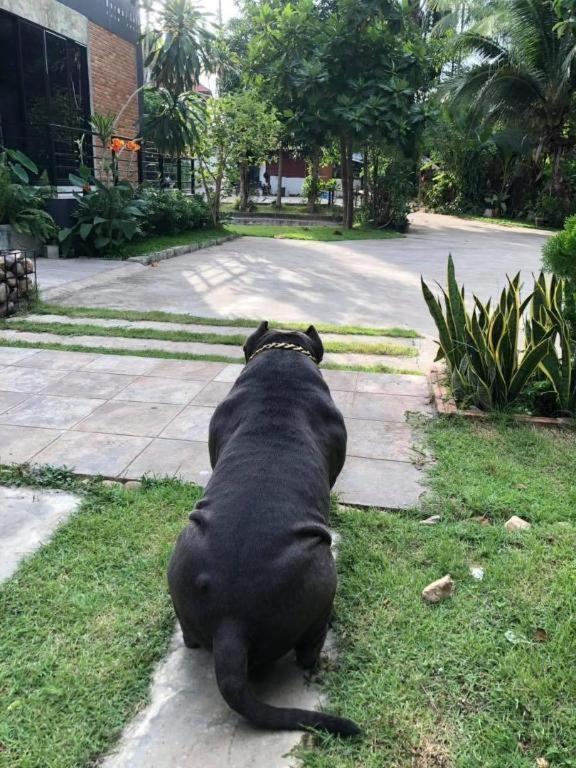Palmhouse Hotel Mae Hong Son Luaran gambar