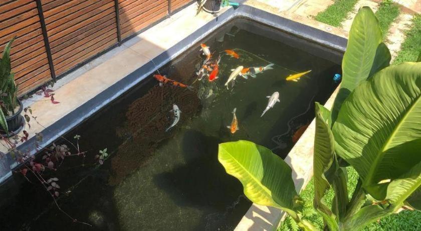 Palmhouse Hotel Mae Hong Son Luaran gambar